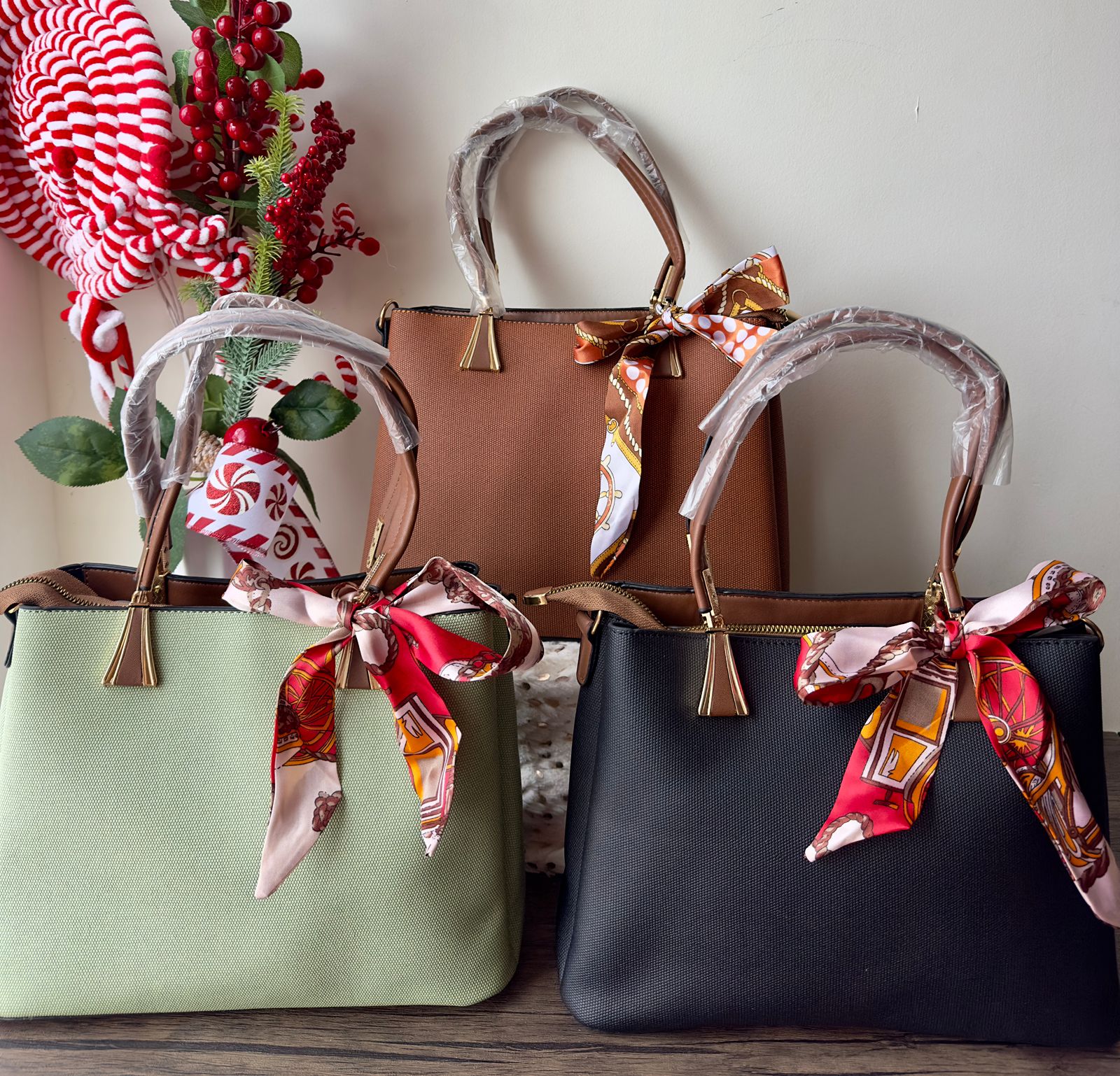 B19 Carteras