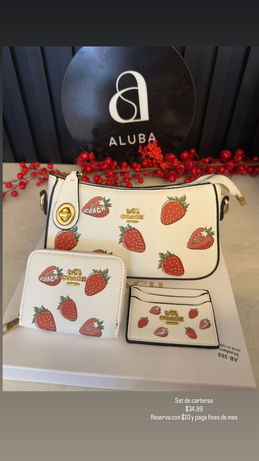 Set de carteras