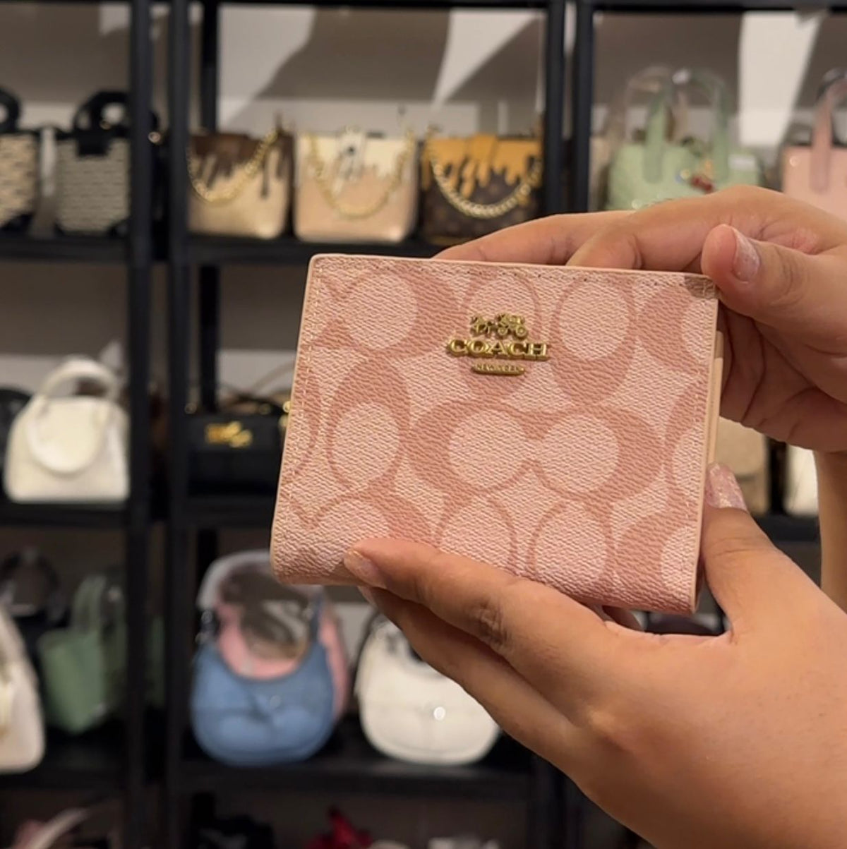S-5119 Wallet