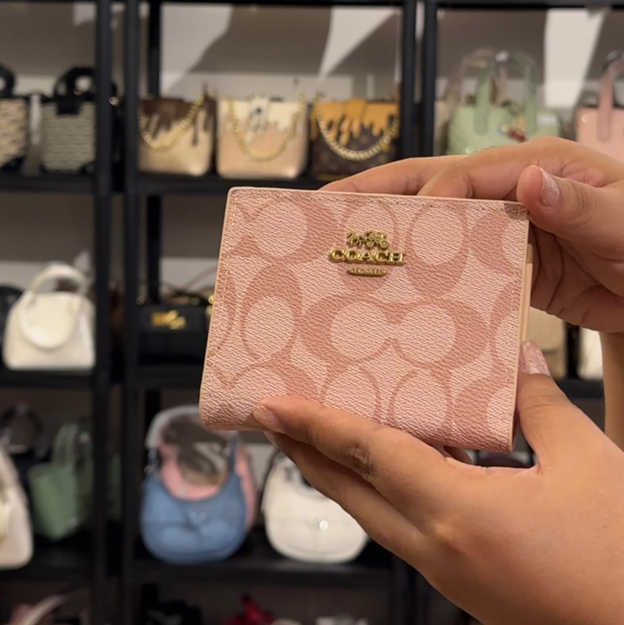 S-5119 Wallet