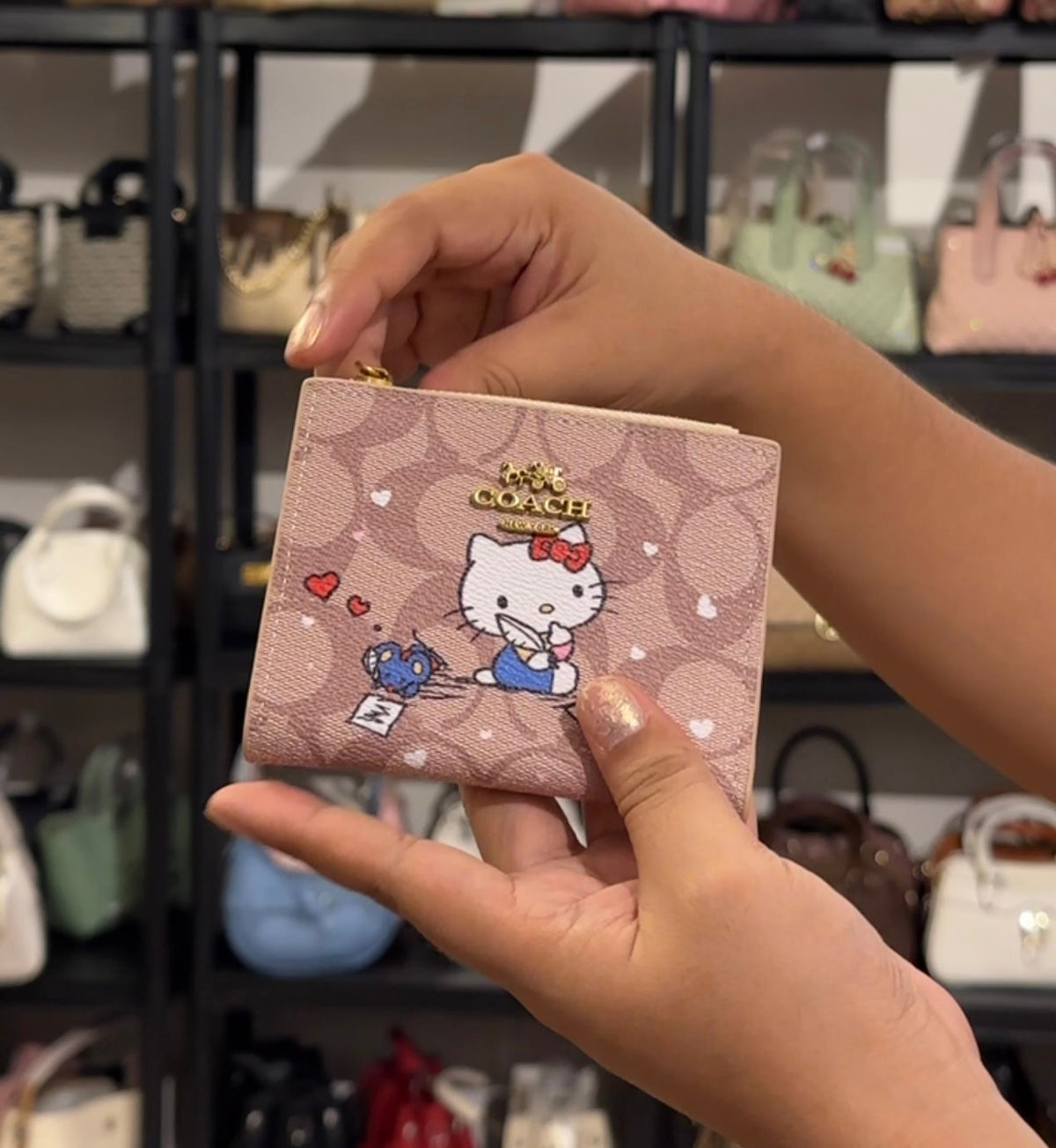 S-5119 Wallet