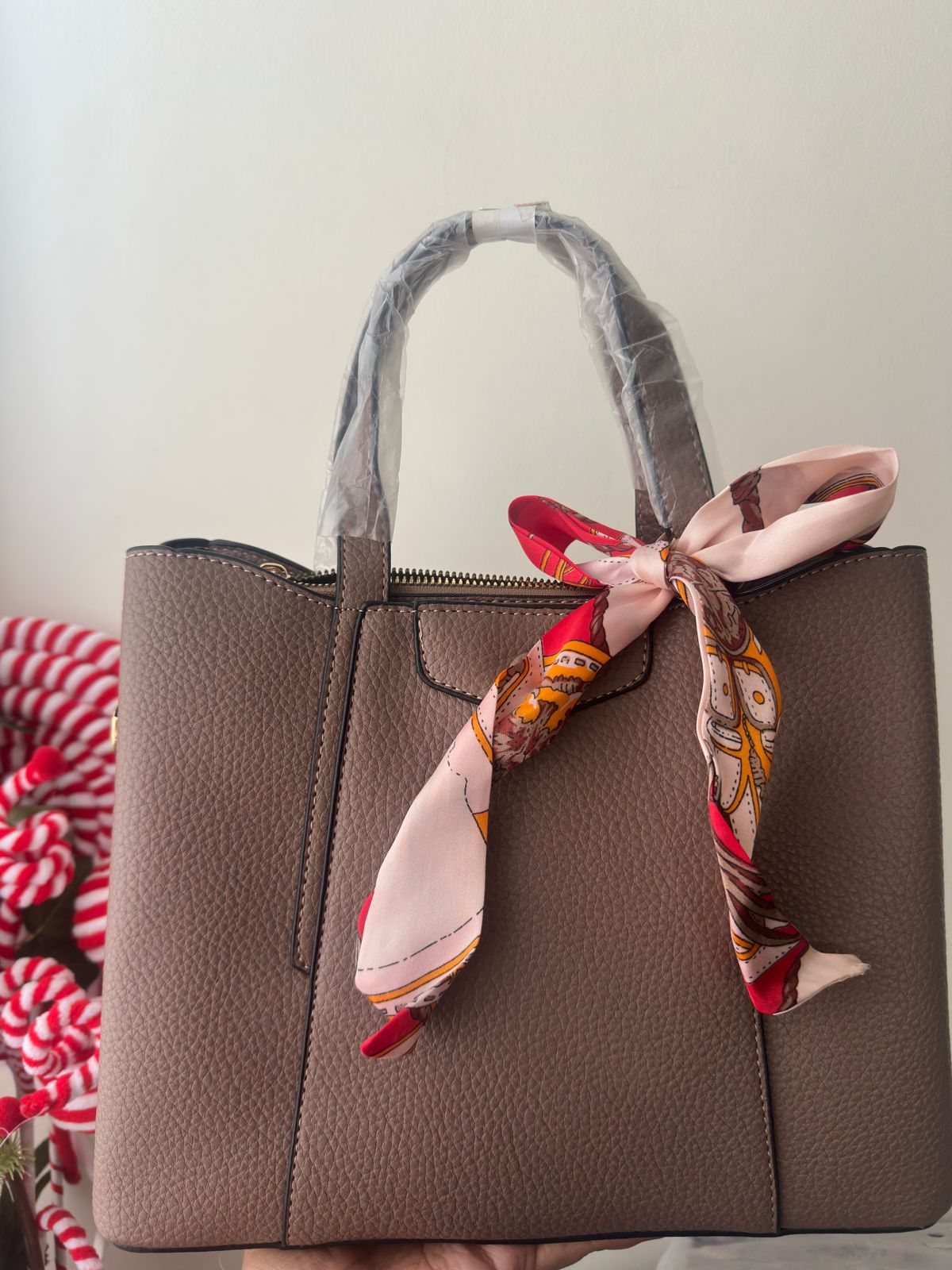 Sofía Cartera E09